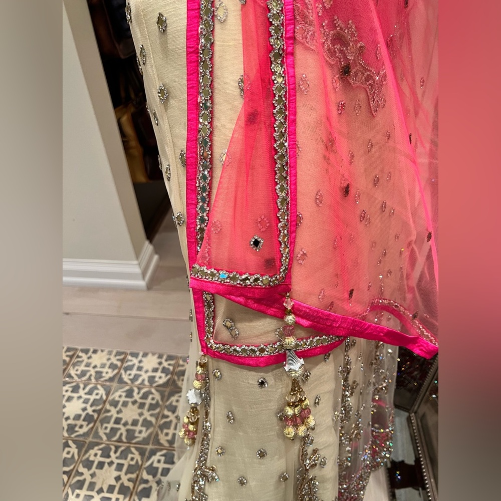Gorgeous Indian wedding dress - Picture 12 of 17